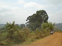 BURUNDI - Up-country safari 3